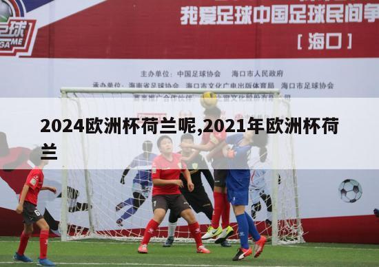 2024欧洲杯荷兰呢,2021年欧洲杯荷兰