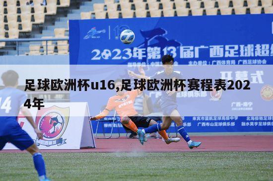 足球欧洲杯u16,足球欧洲杯赛程表2024年